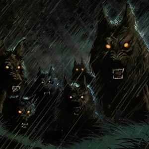 Meet your Posher, William